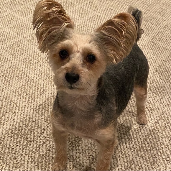 Meet your Posher, Kristan - Picture 1 of 1